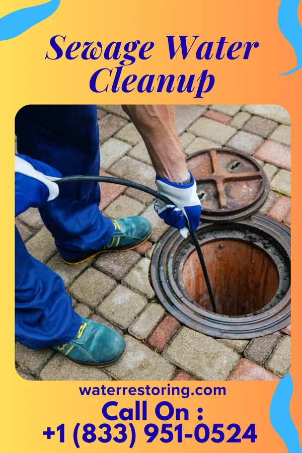 Sewage Water Cleanup in Lockport, IL