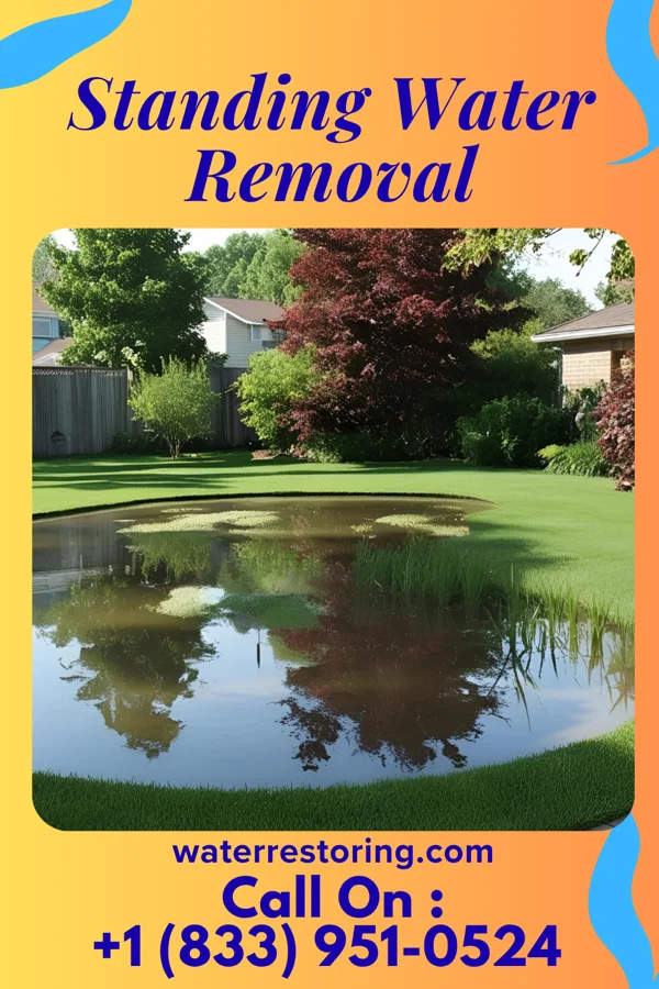 Standing Water Removal in Lockport, IL